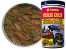 75_18d_cichlid-color.jpg