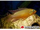 taen_keinke_M_0_0_Mar16_07_005.jpg