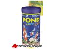 pond-koi-img.jpg