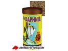 daphnia-img.jpg