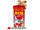 koi-bits-img.jpg