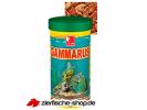 gammarus-img.jpg